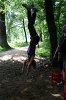 Camp 2011 (3027)